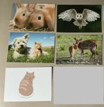 5 nieuwe ansichten met dieren, Ophalen of Verzenden, 1980 tot heden, Ongelopen