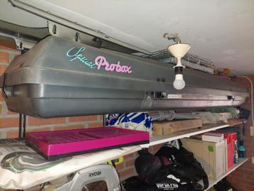 Skibox / bagagebox/ dakkoffer  beschikbaar voor biedingen
