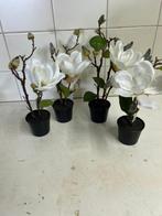 Decoratie magnolia, .., Nieuw, ..., Ophalen of Verzenden