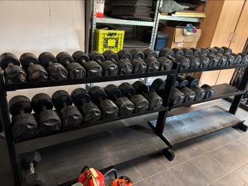 Lifemaxx dumbbellset 12 t/m 40 kg beschikbaar voor biedingen