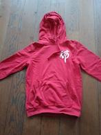 Trui met capuchon, Ophalen of Verzenden, Jongen, Trui of Vest