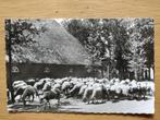 Ansichtkaart Exloo Schaapskooi, Ophalen of Verzenden, 1960 tot 1980, Gelopen