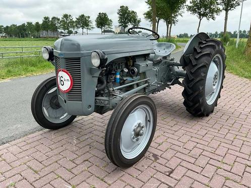 1951 Ferguson TED-20 Oldtimer tractor, Zakelijke goederen, Agrarisch | Tractoren, Overige merken, Oldtimer