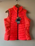 Nieuw!! Bodywarmer Gaastra maat S, Kleding | Dames, Bodywarmers, Gaastra, Ophalen of Verzenden, Zo goed als nieuw, Roze