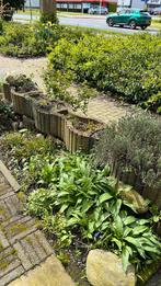 Gratis ruim 30 betonnen stapelbare plantenbakken bloembakken, Tuin en Terras, Planten | Struiken en Hagen, Ophalen