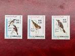 Vogels - Somalië - 1980, Verzenden, Postfris, Dier of Natuur