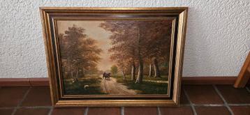 Landschap beschikbaar voor biedingen