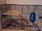 Hamsterkooi met accessoires, Kooi, Gebruikt, Minder dan 75 cm, Hamster