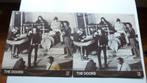 THE DOORS-Panel Deluxe, 1960 tot 1980, Verzenden, Zo goed als nieuw, 12 inch