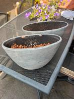 2 grijze ovale plantenbakken met hydrokorrels - vensterbank, Ophalen, Kunststof, Minder dan 30 cm, Minder dan 60 cm