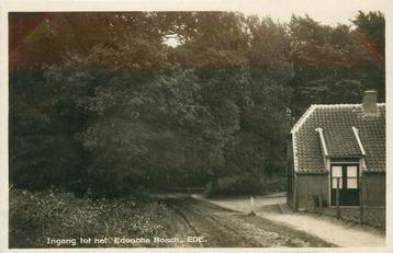 (387-179-031) Ede Edesche Bosch beschikbaar voor biedingen