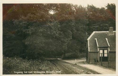 (387-179-031) Ede Edesche Bosch, Verzamelen, Ansichtkaarten | Nederland, Gelderland, Verzenden