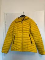Opvallende warme sportjas winter maat 38/40, Ophalen of Verzenden, Zo goed als nieuw, Maat 38/40 (M), Jack