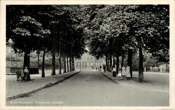 Zevenbergen - Kastanje laantje  beschikbaar voor biedingen