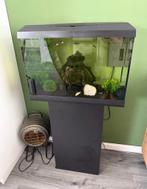 Aqarium 70 liter, Ophalen, Leeg aquarium