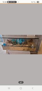 Hamster terrarium zonder toebehoren, Gebruikt, Hamster, Hok, 75 tot 110 cm