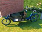 Electrische Bakfiets, Gebruikt, 51 tot 55 cm, 50 km per accu of meer, Ophalen