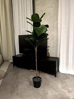 FEJKA Kunstplant, binnen/buiten tabaksplant, Huis en Inrichting, Woonaccessoires | Kunstplanten en Kunstbloemen, Ophalen, Zo goed als nieuw