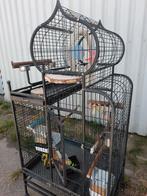 Papegaaien kooi, Dieren en Toebehoren, Vogels | Hokken en Kooien, Ophalen of Verzenden, Zo goed als nieuw, Metaal, Vogelkooi