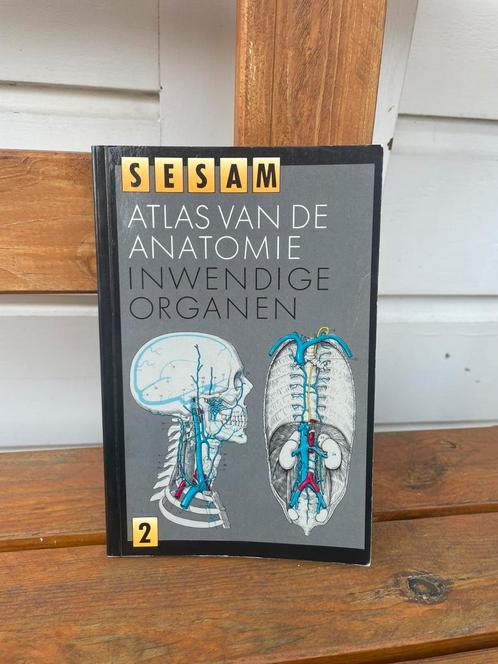 H. Leonhardt - atlas van de anatomie Inwendige organen sesam, Boeken, Wetenschap, Ophalen of Verzenden
