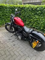 Te koop Harley Davison Sportster Iron 883, Motoren, Motoren | Harley-Davidson, LED Verlichting, 2 cilinders, Chopper, 883 cc
