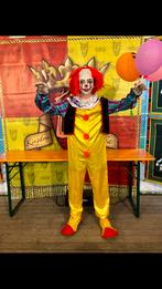 Kostuums , fiona van shrek en Clown IT & Koning, Ophalen of Verzenden, Gedragen, Carnaval, Kleding