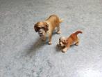 Schleich Sint Bernardshond set 2: pup en hond 1993 - 2004, Ophalen of Verzenden, Gebruikt, Hond of Kat, Beeldje of Figuurtje