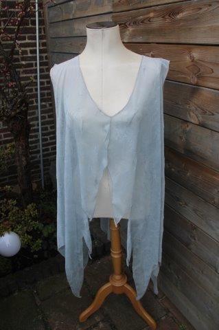 Tuniek grijs Masal Perisi mt XXL transparant Vaste prijs  OP, Kleding | Dames, Blouses en Tunieken, Zo goed als nieuw, Maat 46/48 (XL) of groter