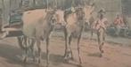 Soewardja Aquarel - Man met Rundvee - Indonesië, Verzenden
