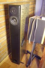 audio physic virgo 2 met speciale coating en onderstel, Audio, Tv en Foto, Luidsprekers, Ophalen of Verzenden, Gebruikt, Front, Rear of Stereo speakers