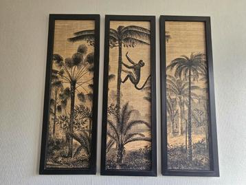 3 luik jungle beschikbaar voor biedingen