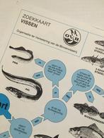 Zoekkaart. Vissen, Ophalen of Verzenden, Nieuw, Overige onderwerpen