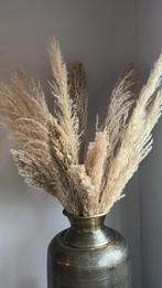 Pampas pluimen, Ophalen, Zo goed als nieuw