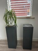 Grijze Zuilen met lood bekleed Set - Plantenstandaards, Ophalen, Gebruikt
