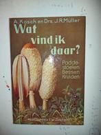 Partijtje oude boekjes. In 1 koop., Antiek en Kunst, Ophalen of Verzenden