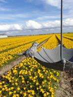 vogelvoederbakje , vogelbad , aanbieding, Ophalen of Verzenden, Atw, Atw, Nieuw