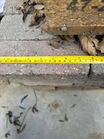 Trommelstenen rood genuanceerd – ca. 8000 kg – 78x196x50 mm, Ophalen, Zo goed als nieuw, 10 m² of meer, Klinkers