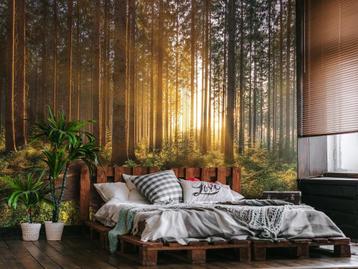 Bos fotobehang Sunrise, romantisch behang, Fotobehang4you beschikbaar voor biedingen
