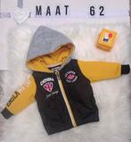 Jasje maat 62 Lee Cooper geel zwart, Ophalen of Verzenden, Zo goed als nieuw, Jongetje, Jasje