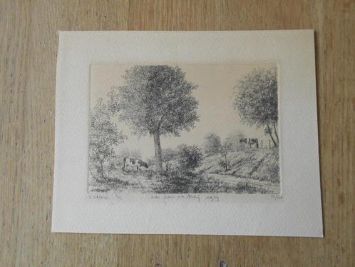 2 Stieren ets Wim van der Meij, Antiek en Kunst, Kunst | Etsen en Gravures, Ophalen of Verzenden