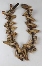 Ketting van versteende schelpen, Ophalen