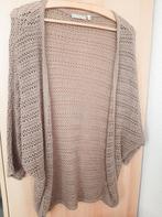 Vestje met zilver Dreamstar als NIEUW!!! Maat M, Kleding | Dames, Truien en Vesten, Dreamstar, Ophalen of Verzenden, Zo goed als nieuw