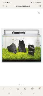 2 stuks Superfish Scaper 60 - Aquaria - 50x35x35 cm 60 l Tra, Dieren en Toebehoren, Ophalen of Verzenden, Zo goed als nieuw, Leeg aquarium