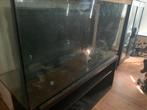 Terrarium/bak hamsters, Ophalen, Zo goed als nieuw, Terrarium of Paludarium