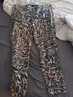 Nieuwe broek zoey maat 54, Kleding | Dames, Grote Maten, Ophalen of Verzenden, Nieuw, Broek of Spijkerbroek