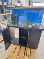 Juwel aquarium met meubel 100x40x40 zwart, Ophalen, Gebruikt, Leeg aquarium