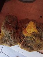 Frielander Aardappels 5kg 5euro+ Gratis Pompoen!, Ophalen