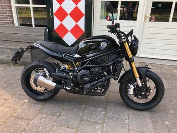 Benelli LEONCINO 800 ABS (bj 2025) beschikbaar voor biedingen