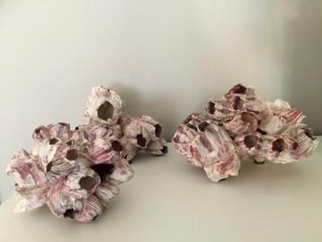 Woondecoratie | Woonaccessoire | Zeepokken | Decoratie | 3x beschikbaar voor biedingen