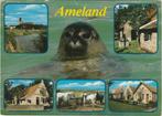 AMELAND Toren Huizen Zeehond Paarden, Verzamelen, Ansichtkaarten | Nederland, Gelopen, Waddeneilanden, Verzenden, 1980 tot heden